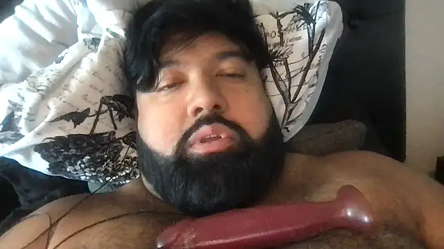 Show webcam de TheKingWasi