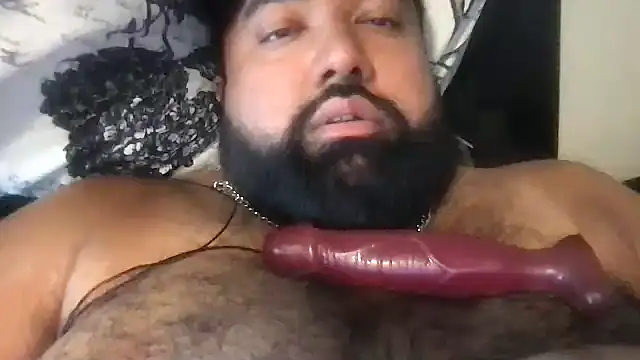 Show webcam de TheKingWasi
