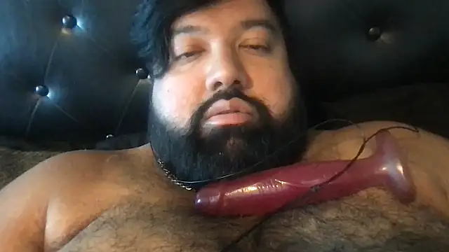 Show webcam de TheKingWasi