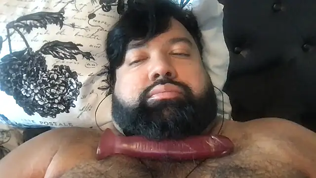 عرض كام TheKingWasi