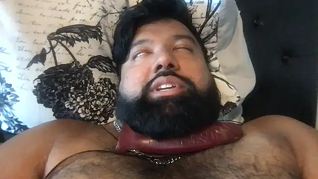 عرض كام TheKingWasi
