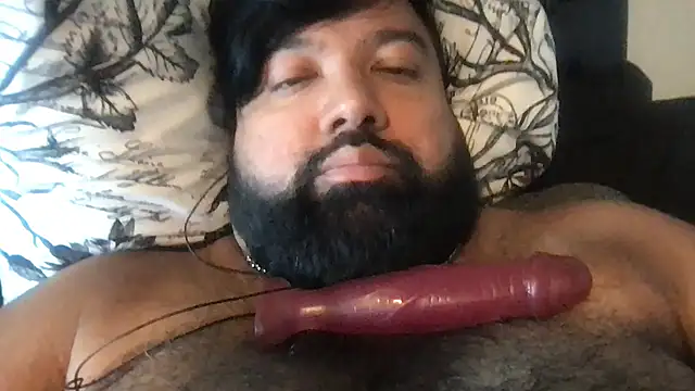 Show webcam de TheKingWasi