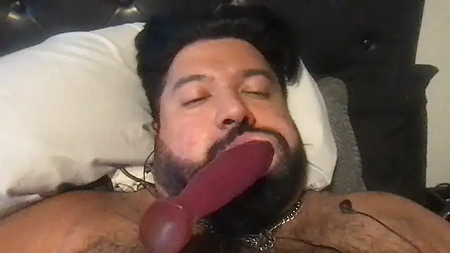 Webkamerová show TheKingWasi