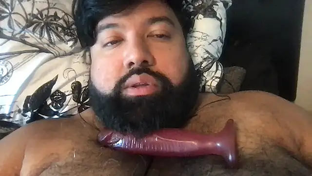 Show webcam de TheKingWasi