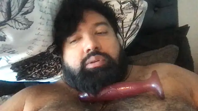 Show webcam de TheKingWasi