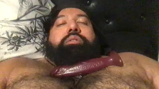 Show de TheKingWasi na webcam