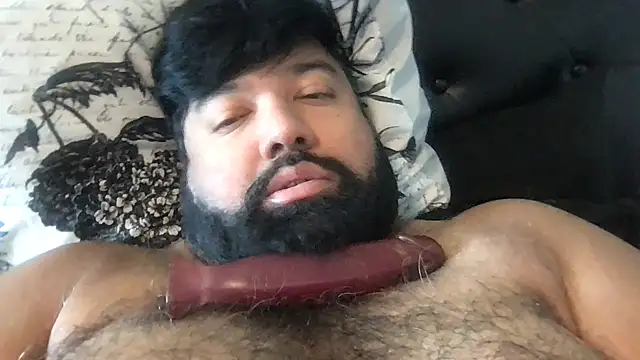 Show webcam de TheKingWasi