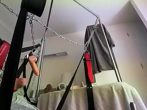 stefolaのウェブカメラショー