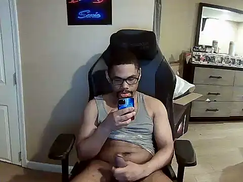 Show webcam de Neovergil0