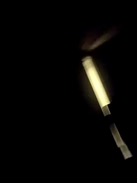 AceticPinscherのウェブカメラショー