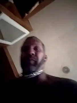 AceticPinscher Pertunjukan Webcam