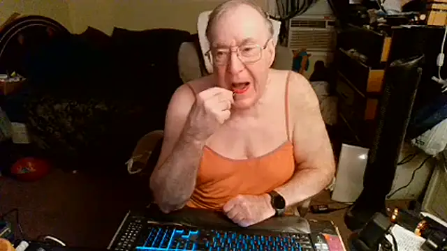 Show Webcam de Toastir