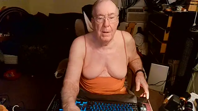 Show webcam de Toastir