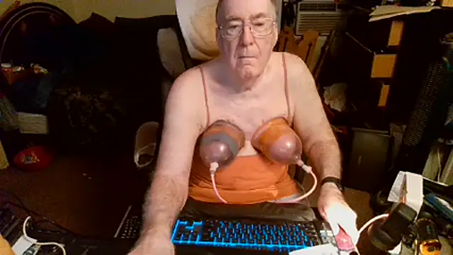 Show webcam de Toastir