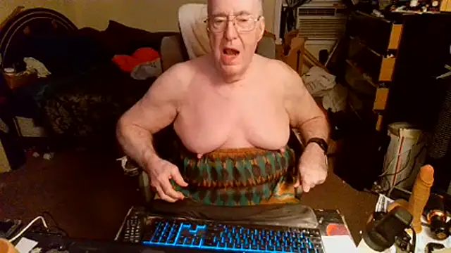 Toastir Webcam show