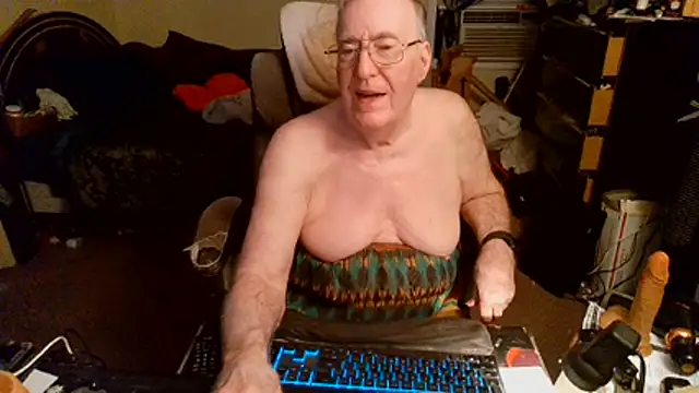 Toastir Webcam-Show