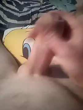 عرض كام Pavlosss