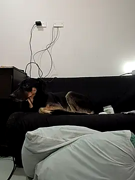 estrella_tasty 现场XXX聊天