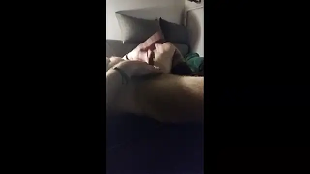 kripp3l – webcam-show