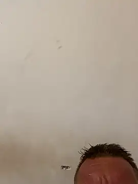 Goldmedall 网络视讯表演