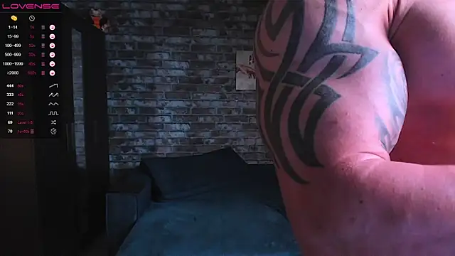Show de mark_normal na webcam