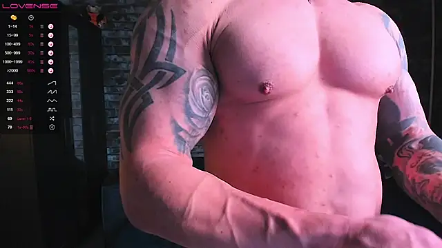 Show modela mark_normal na web-kameri