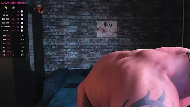 Show webcam de mark_normal