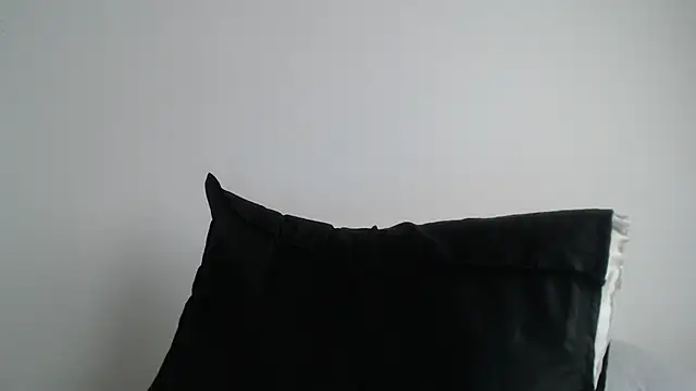 stevenosori 웹캠 쇼
