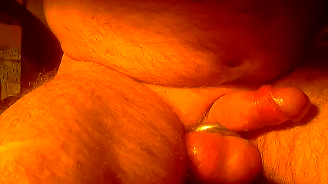 YourToyBE Show Webcam