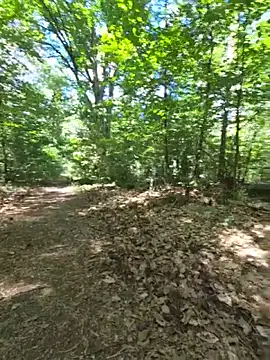 Nero19933 Webcamshow