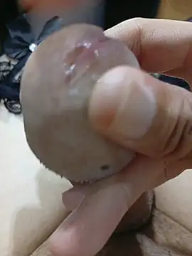 Pertunjukan Kamera Web Gyannini