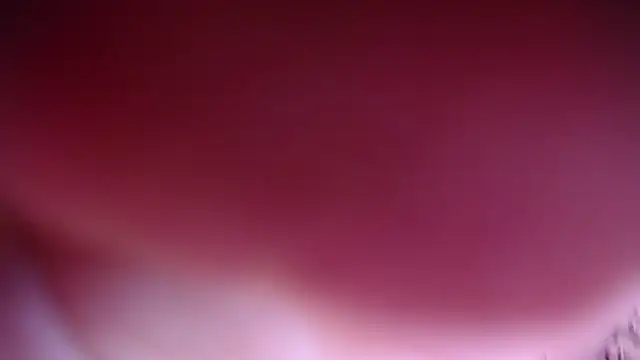 salomecastro_'s Live XXX Chat