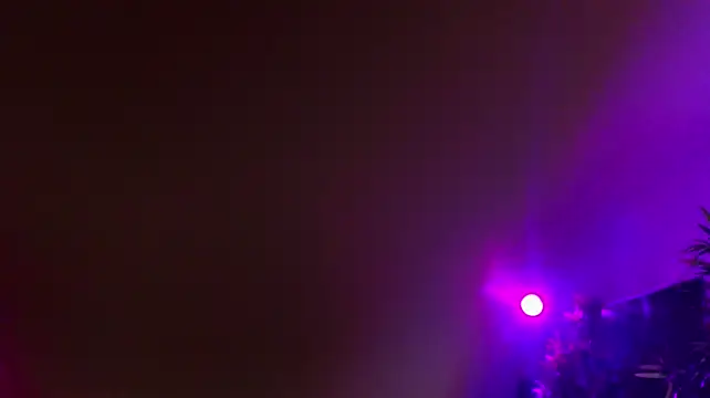 ambarEvans' Live XXX Chat