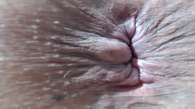 jetace Show Webcam