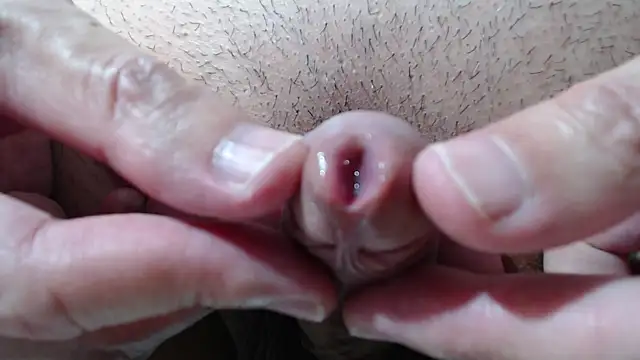 jetace Webcam-Show