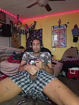 Show webcam de LordSpunFun