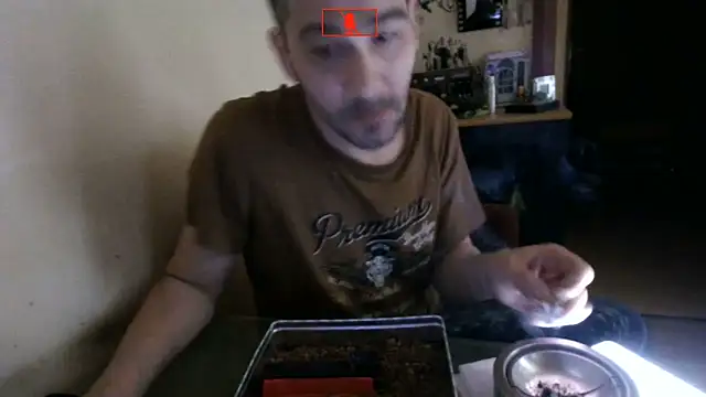 Hgay6935 Pertunjukan Webcam