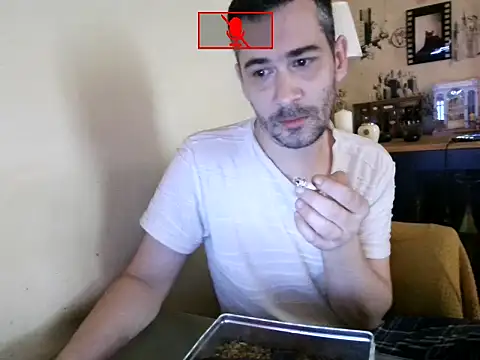 Hgay6935 Webcam Show