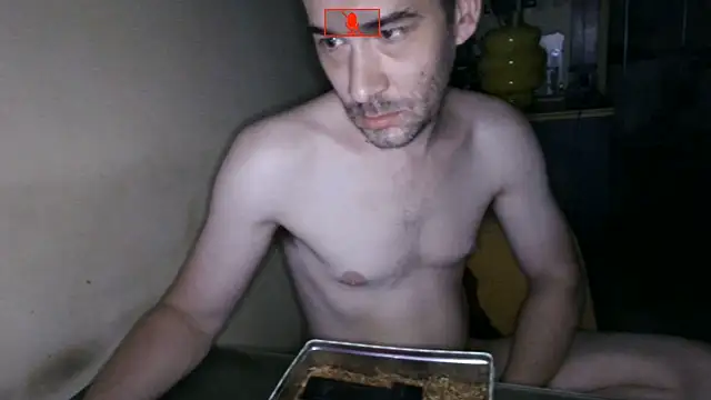 Hgay6935 Show Webcam