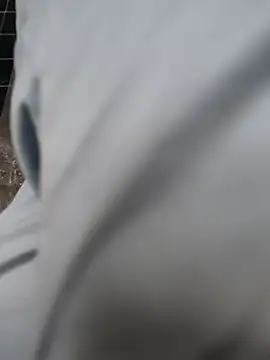 Hgay6935 Show Webcam