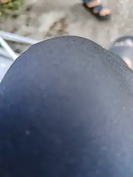 Hgay6935 Webcam show