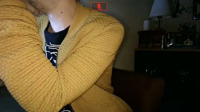 Show webcam de Hgay6935