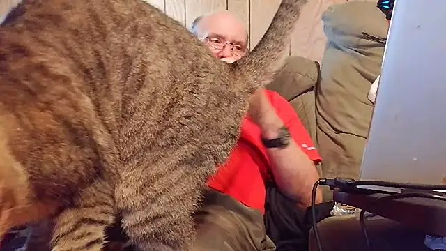 Show Webcam de snickers1