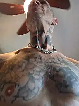 Casey884lifen Webbikameraesitys