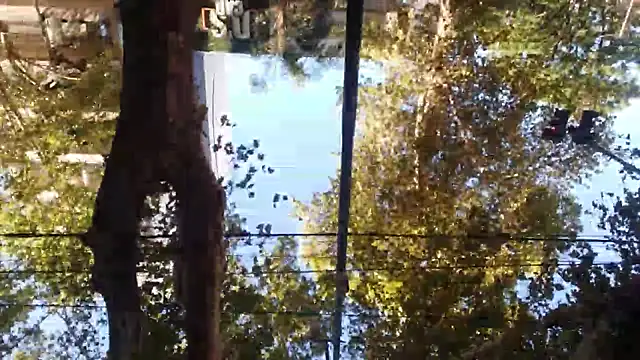 mcperson222's Webcam Show