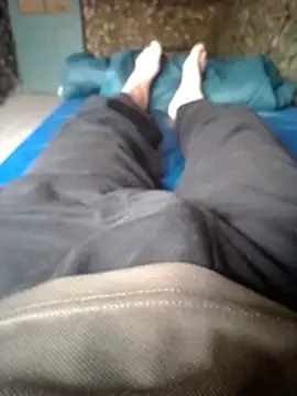 Babi_Kisi Pertunjukan Webcam