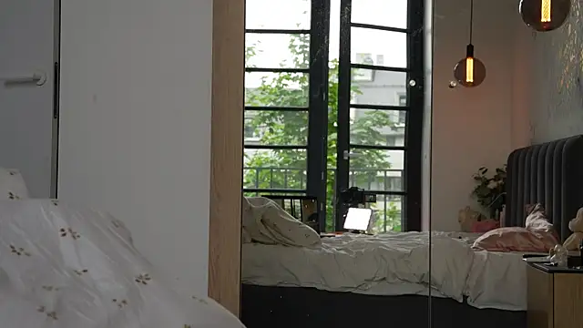 ibiddi Show in webcam