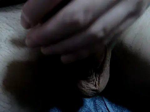 Show webcam de freeaiasn