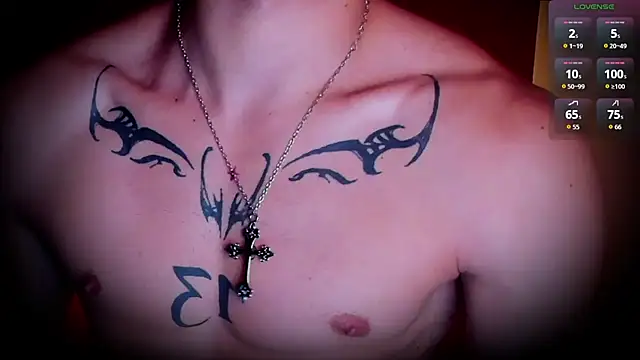 Show webcam de warm_sac