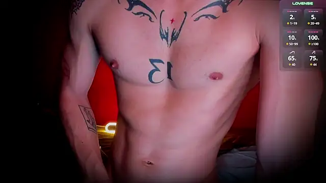 Show webcam de warm_sac